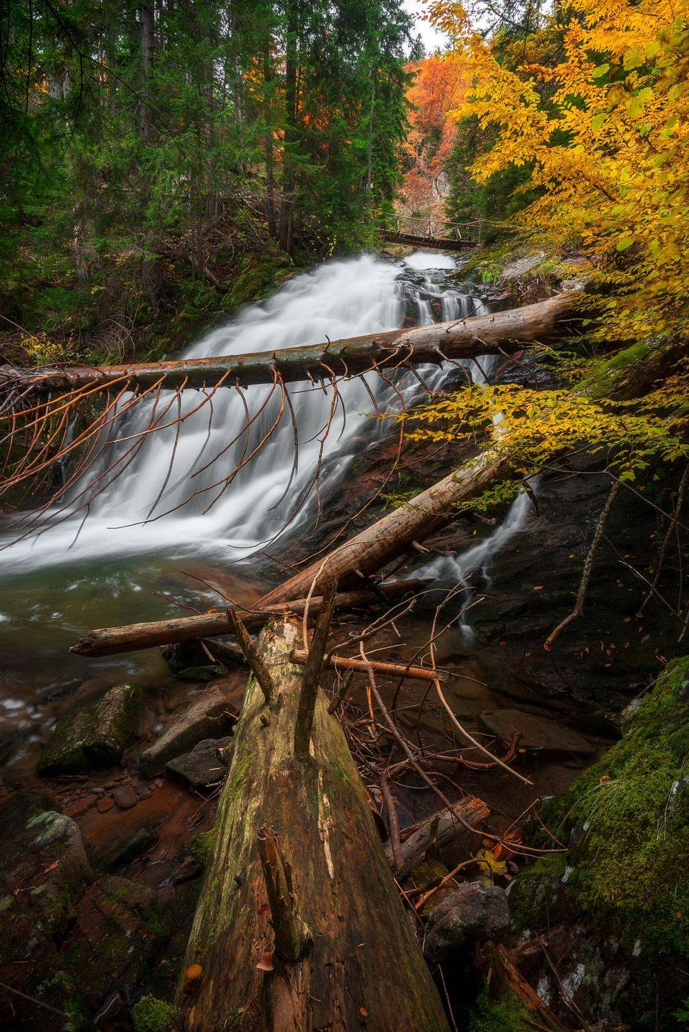 , Mariyana Atanasova - Lucero