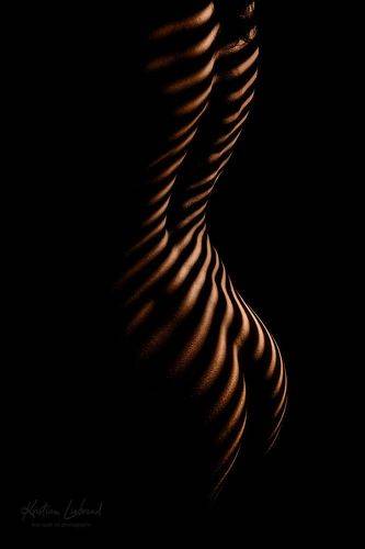 tiger nude