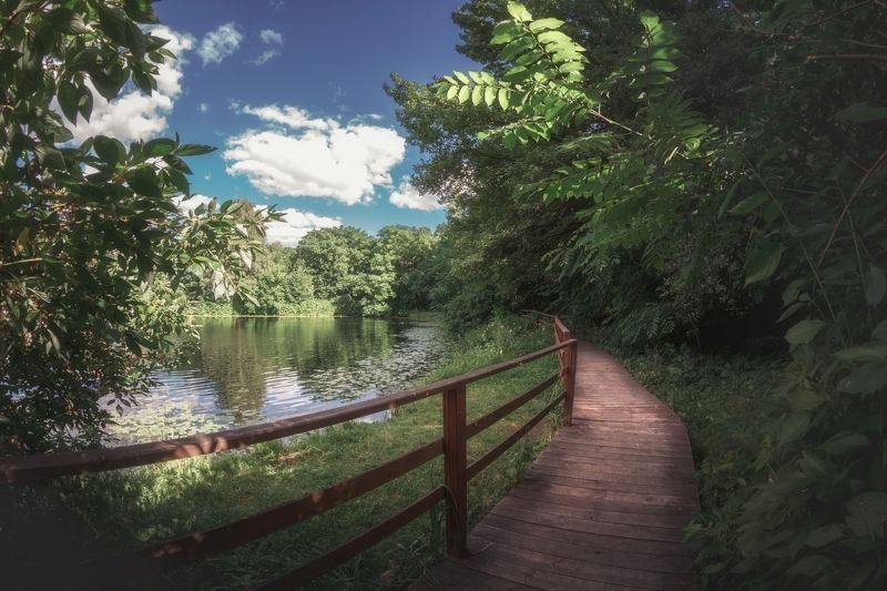 Экотропа вдоль Круглого озера фото превью