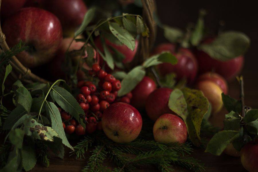 , Хвойнова Елена