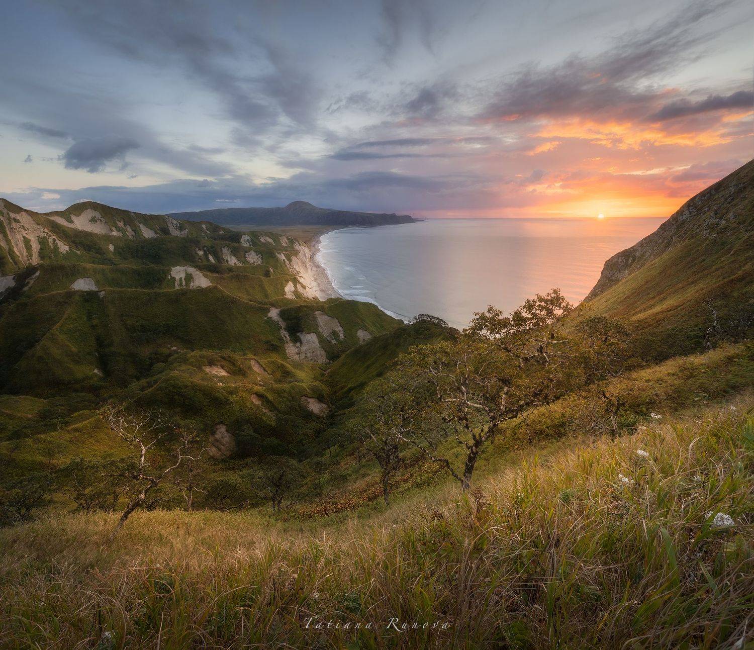 , Татьяна Рунова