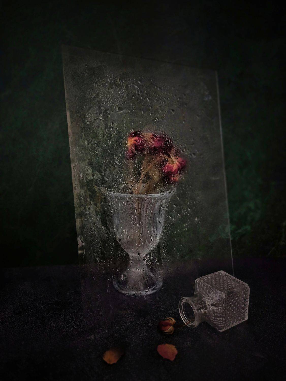 , Дина Полухина