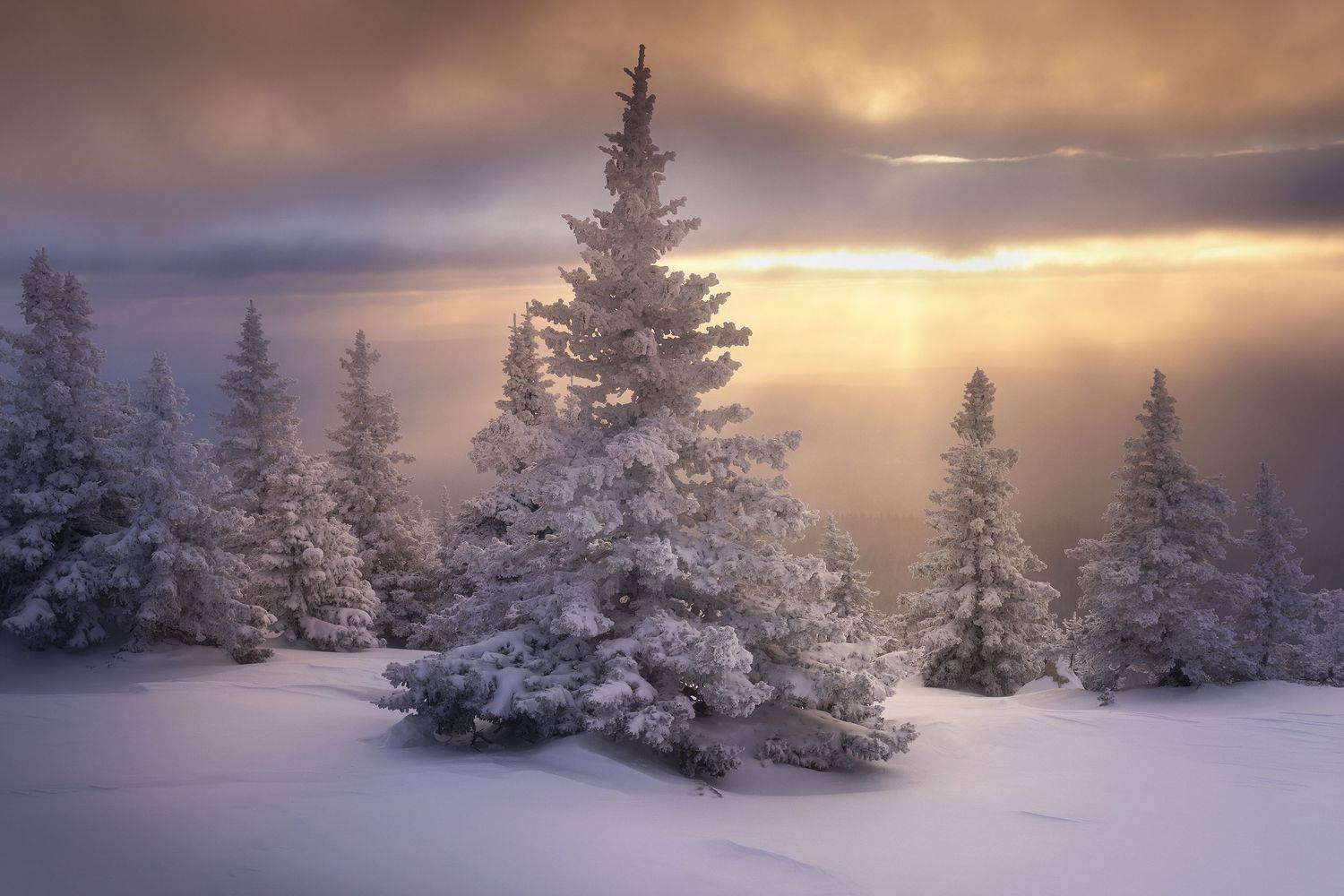 , Татьяна Бирюкова