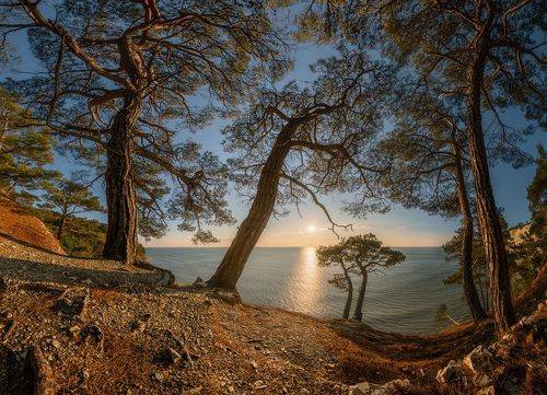 Вечер в Джанхотском бору