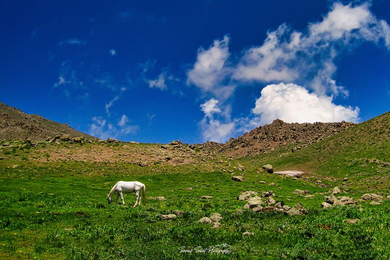 Cloudy Sky фото превью