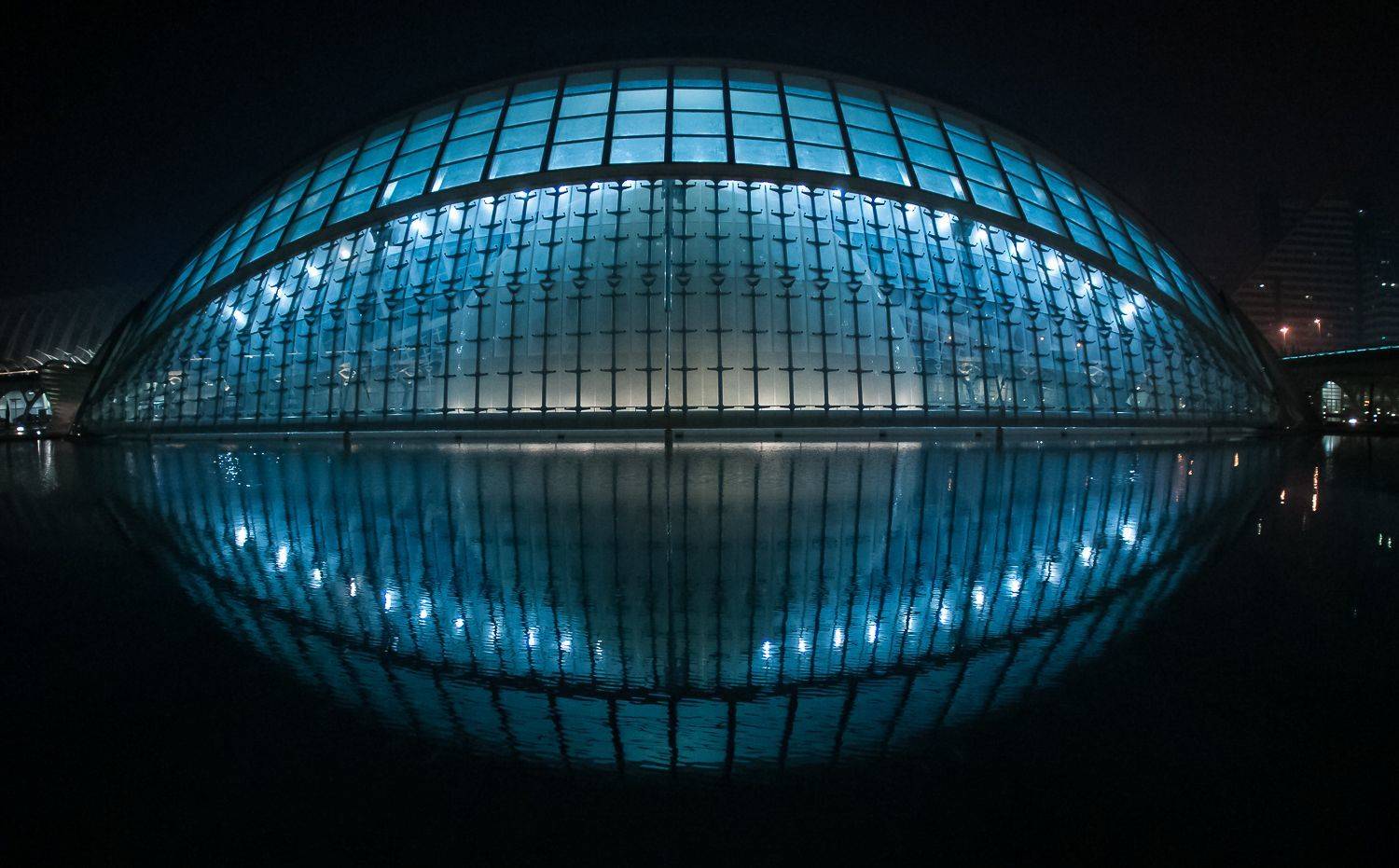 , Максимова Дария