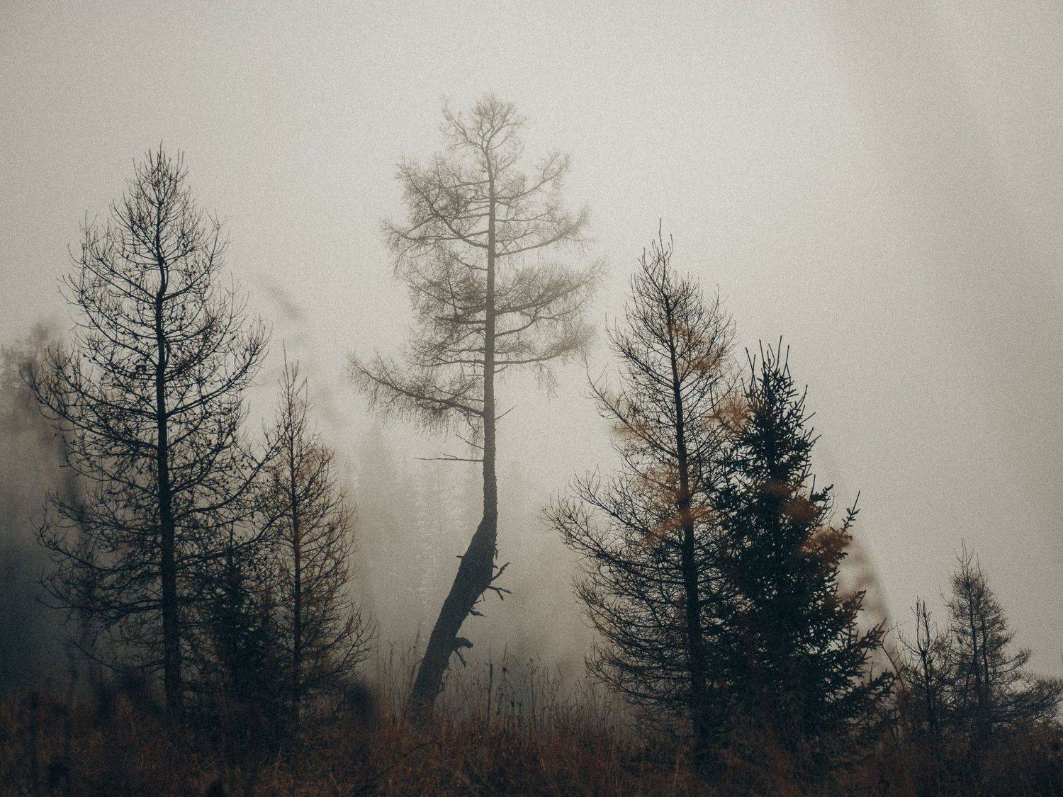 , Виктор Гагарин