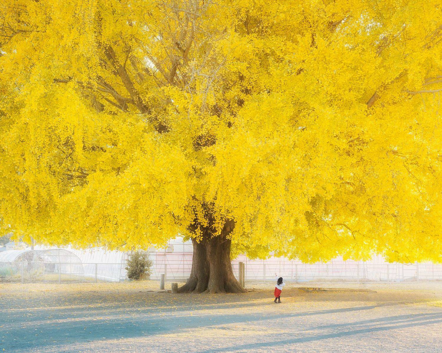 , Даниил Коржонов