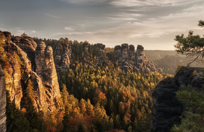 германия, гора, скалы, парк, саксонская швейцария, germany, mountain, hills, rock, saxon switzerland, deutschland Закат в парке фото превью
