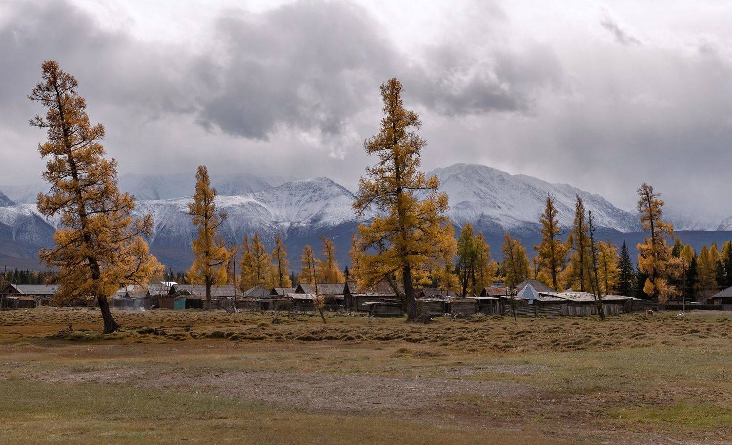 республика алтай, курай, осень, Фомина Марина