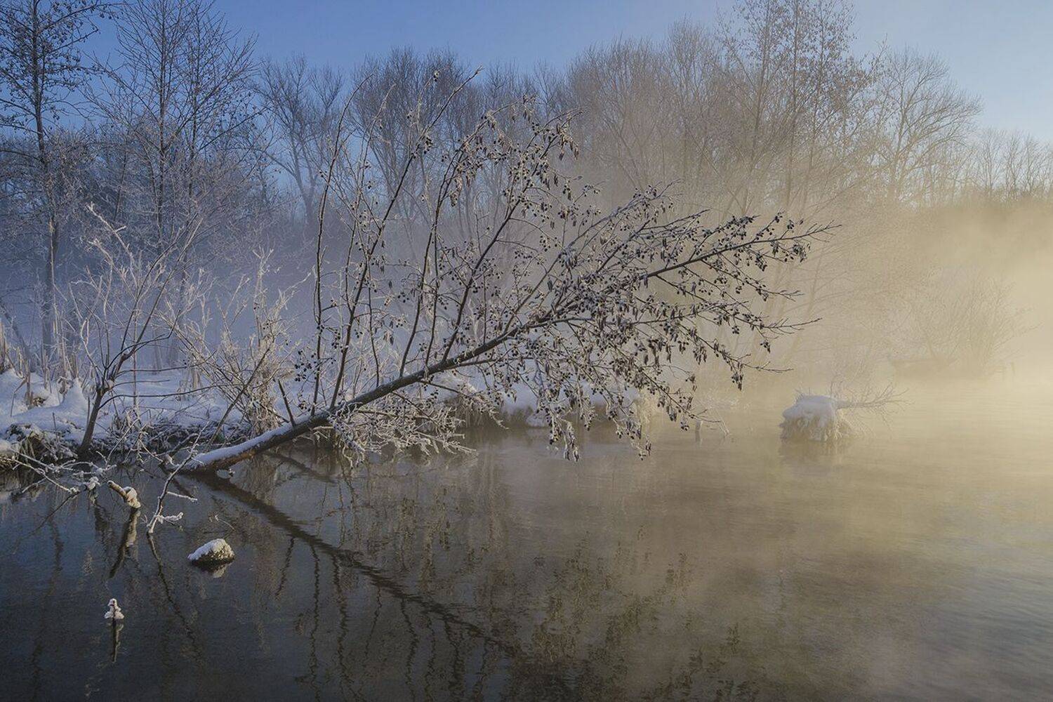 косая гора, озеро горячка, ольха, Михаил Агеев
