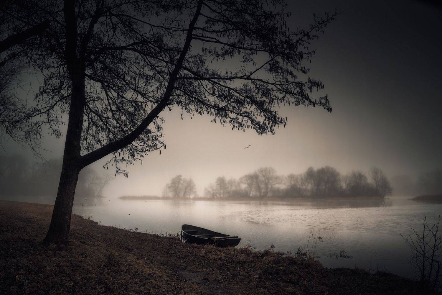 Беларусь, Серж Домбровский