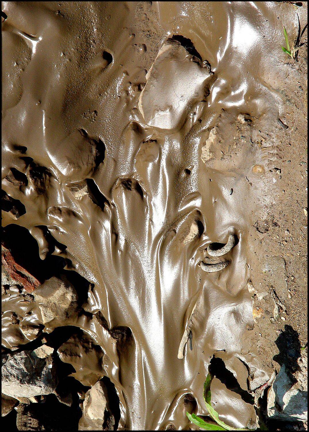 , Меднов Влад