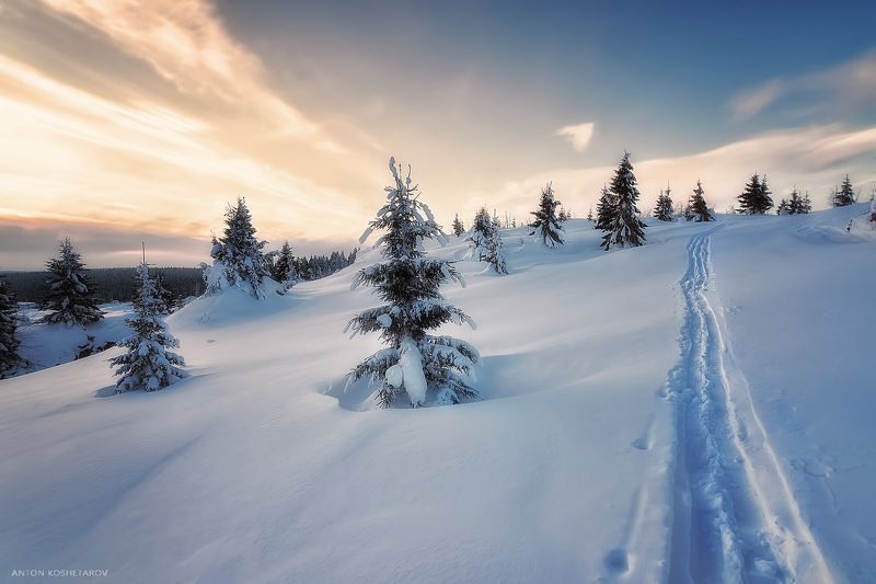 Утренняя прогулка фото превью