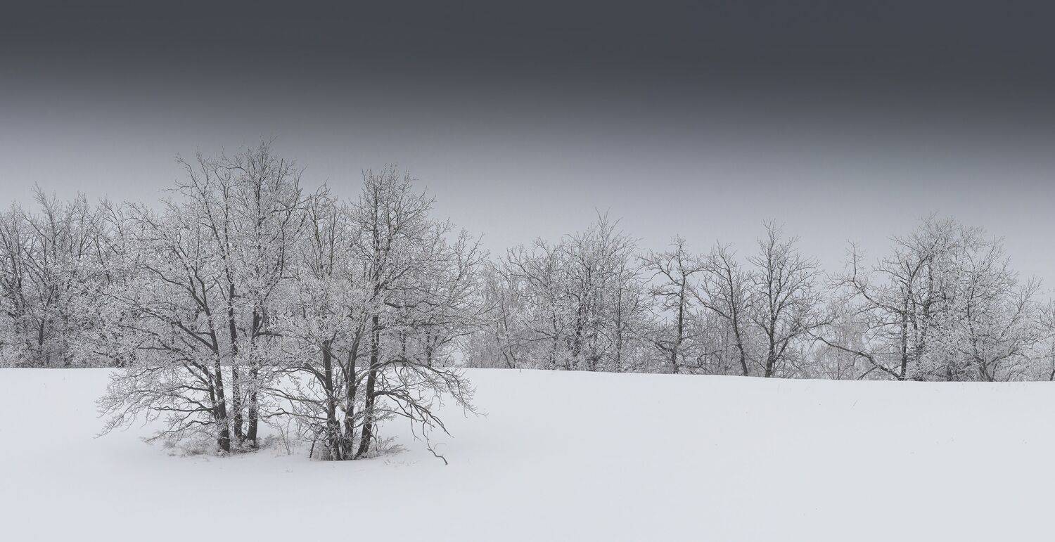 , Антонов Антон