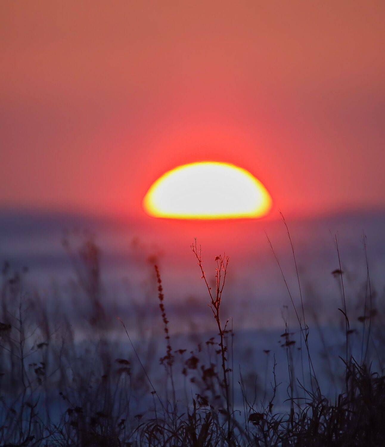 , Максим Подосинников