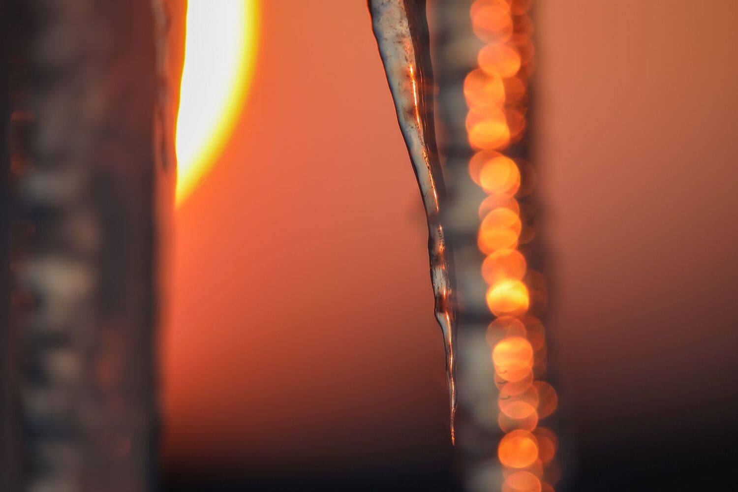 , Максим Подосинников