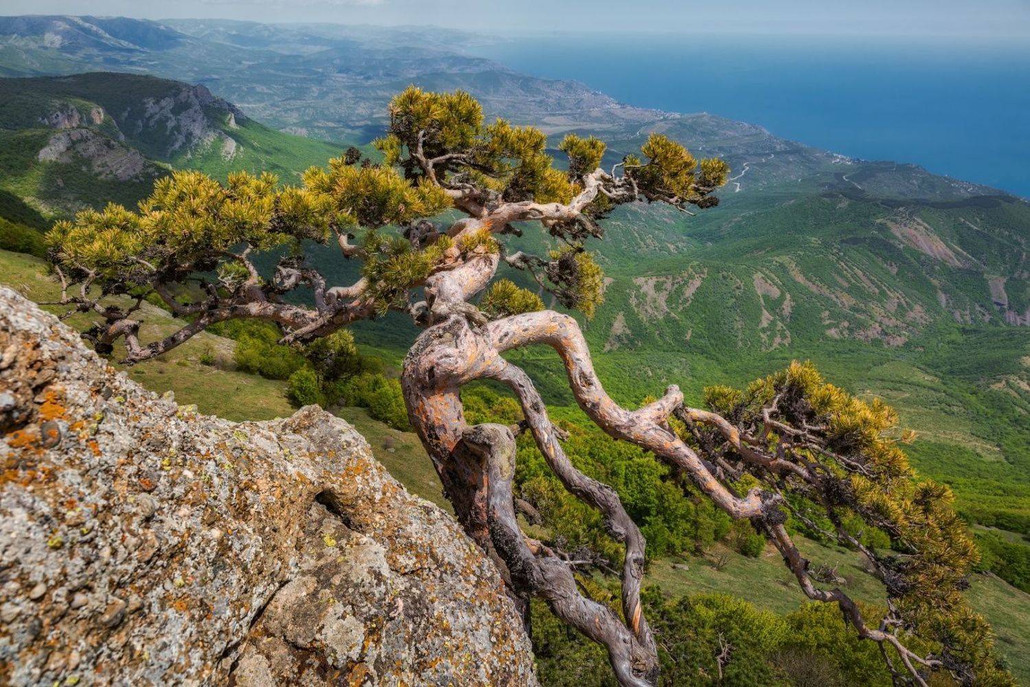 , Евгений Ерохин