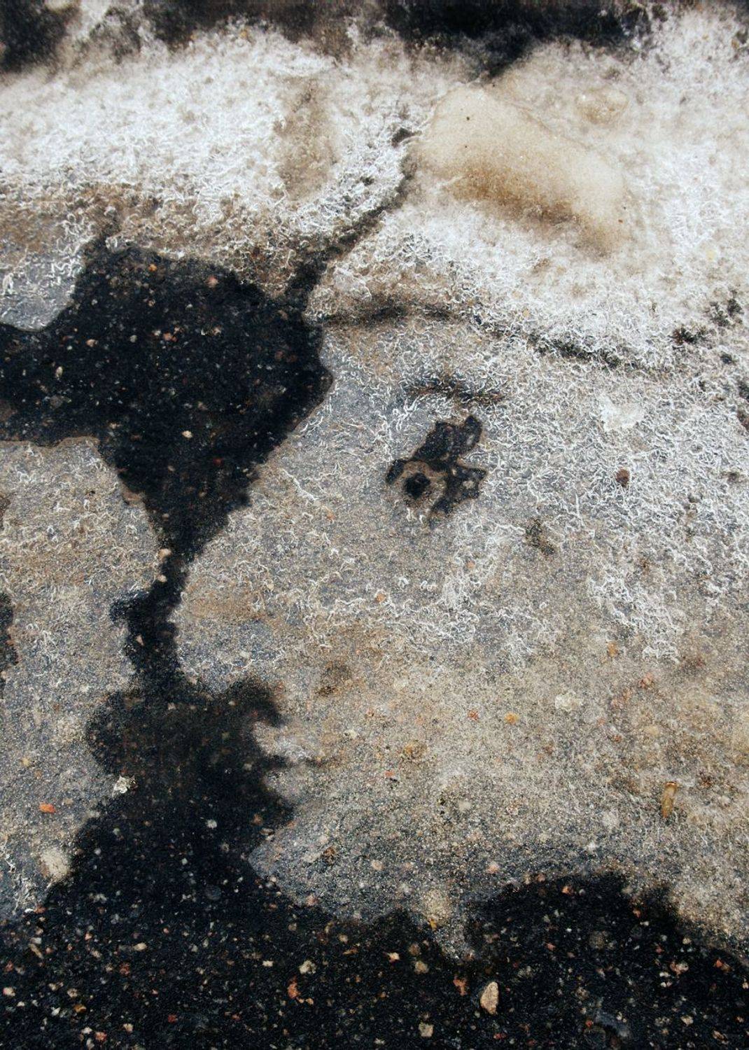 pareidolia, Илья Илья