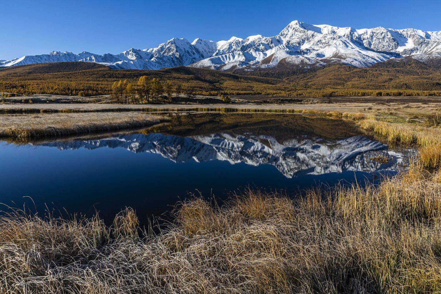 Алтай, Сергей