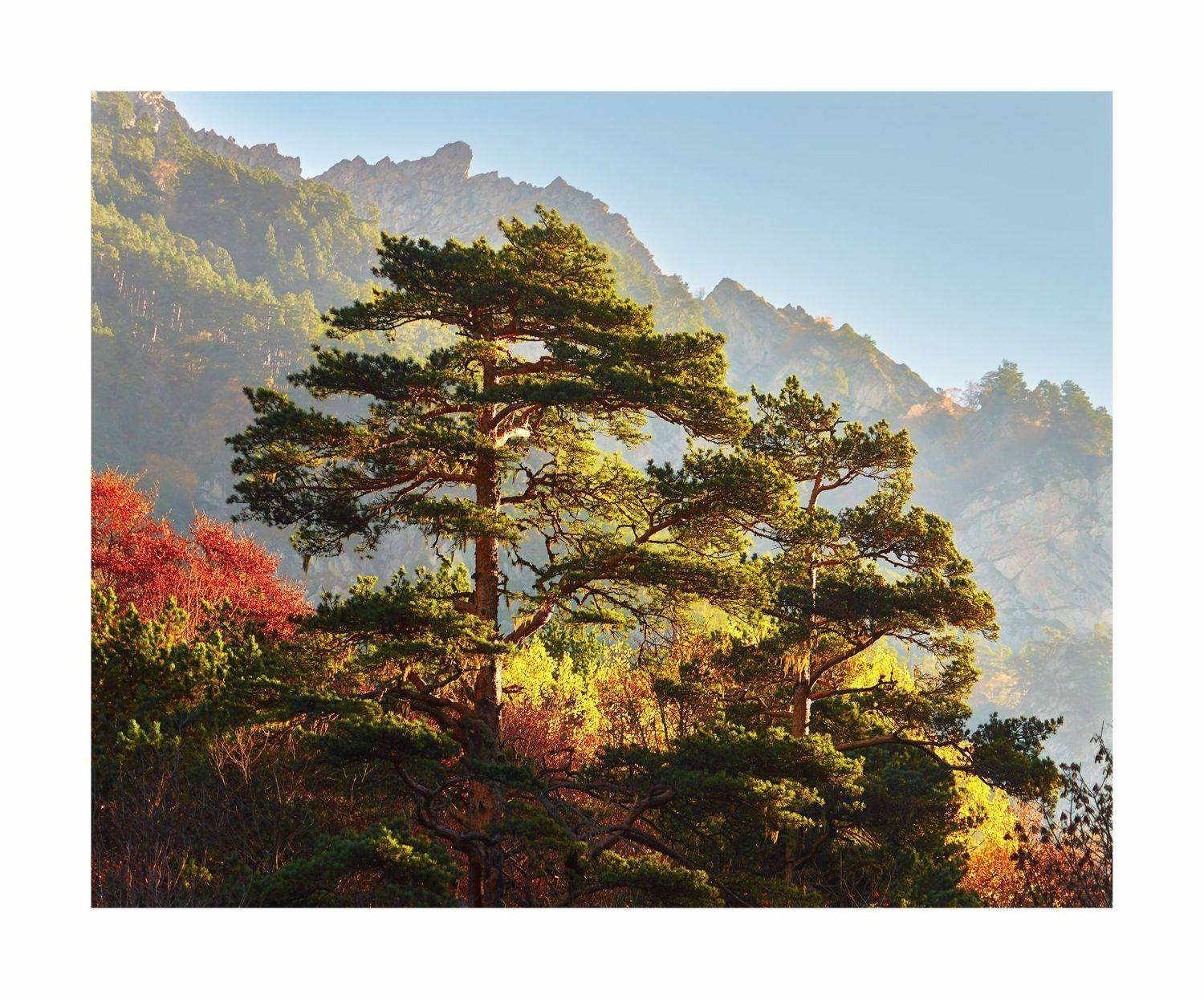 , Станислав