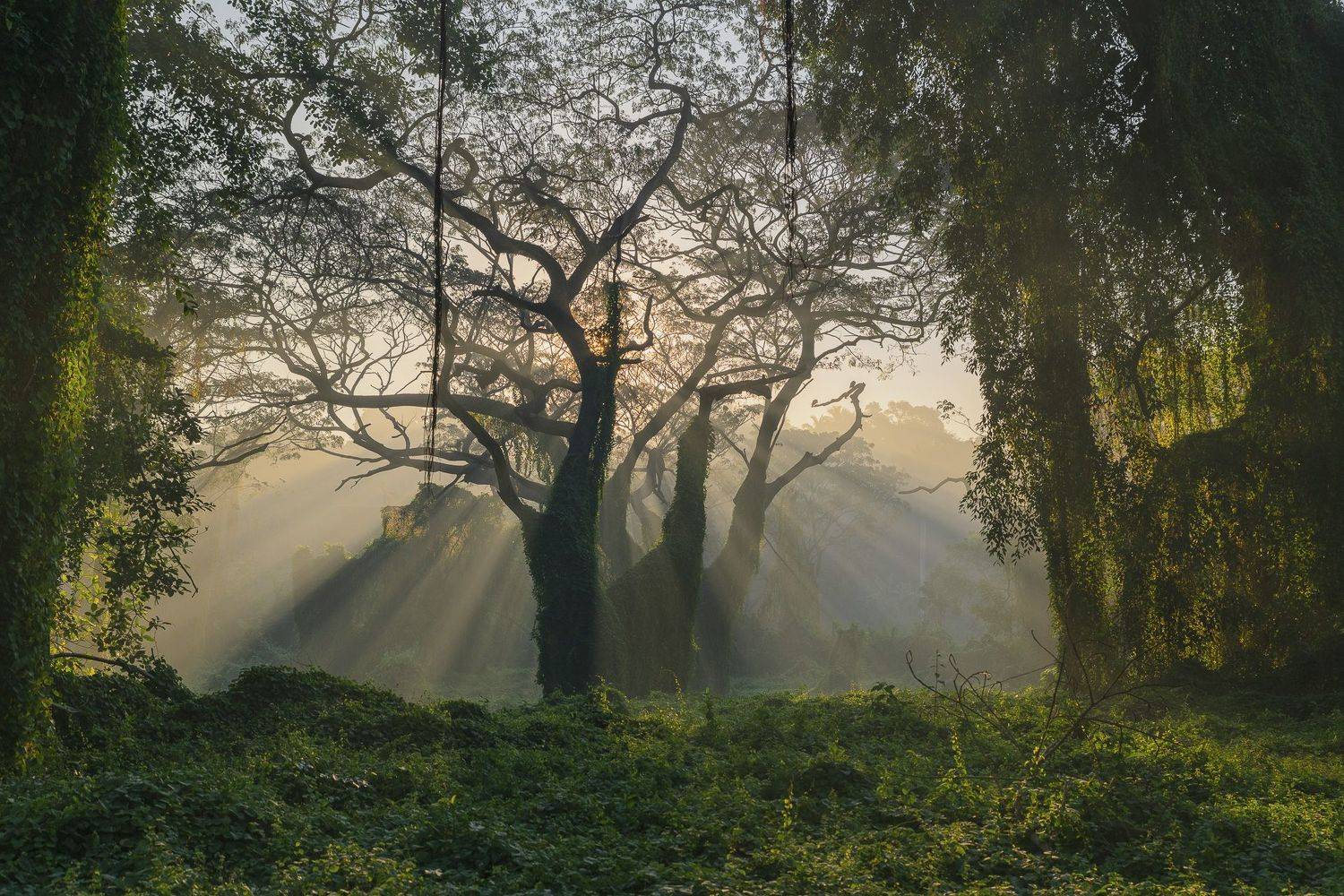 , Abel Cancino Gutierrez