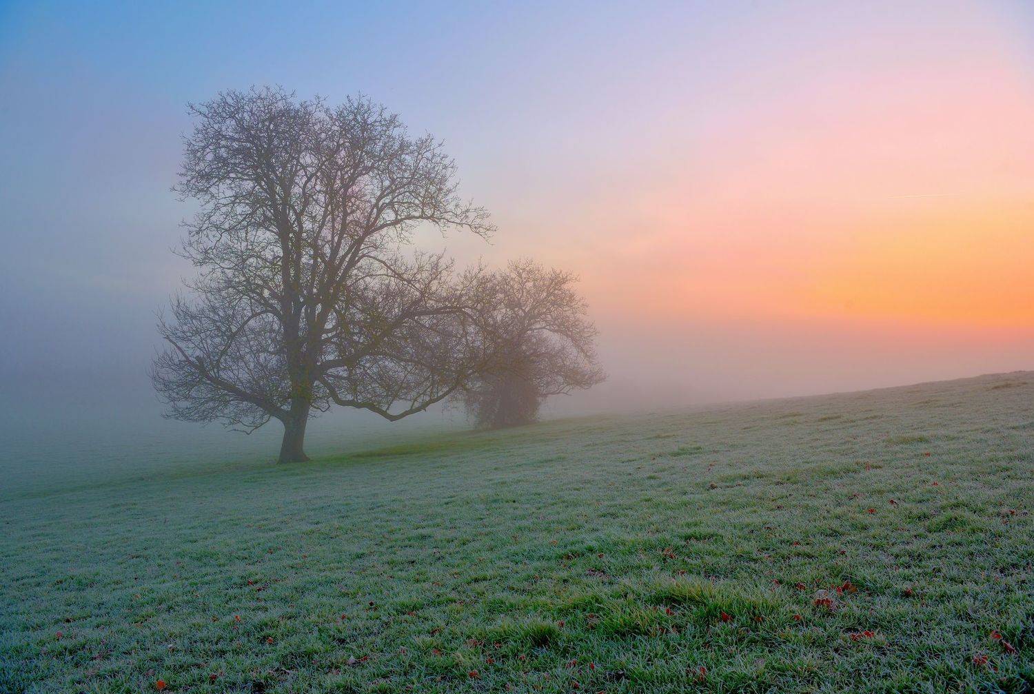 , Руслан Авдевич