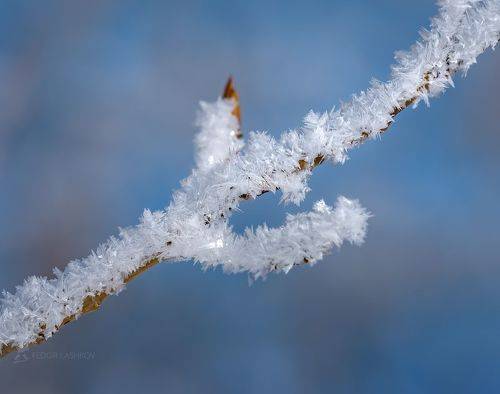 В ожидании весны