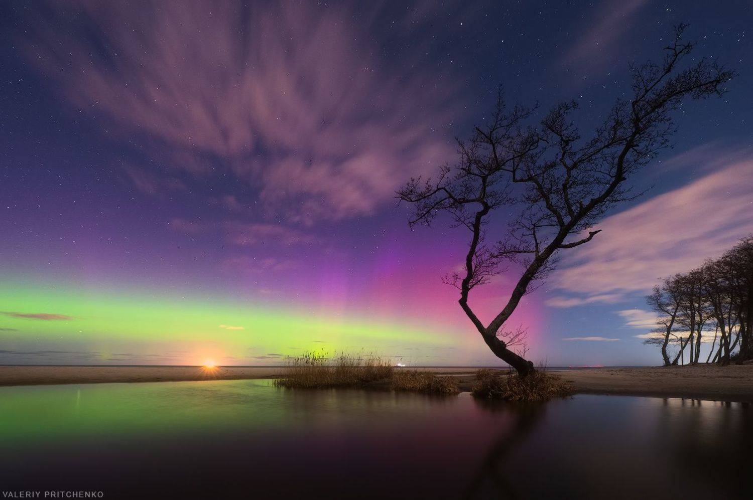 природа, море, пейзаж, северное сияние, ночь, дерево, nature, landscape, tree, aurora, aurora borealis, northern lights, Валерий Притченко