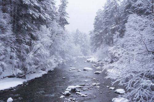 Зимняя сказка