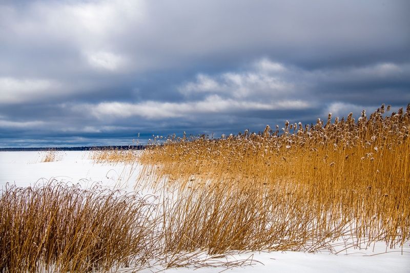 Берег Плещеева озера. фото превью