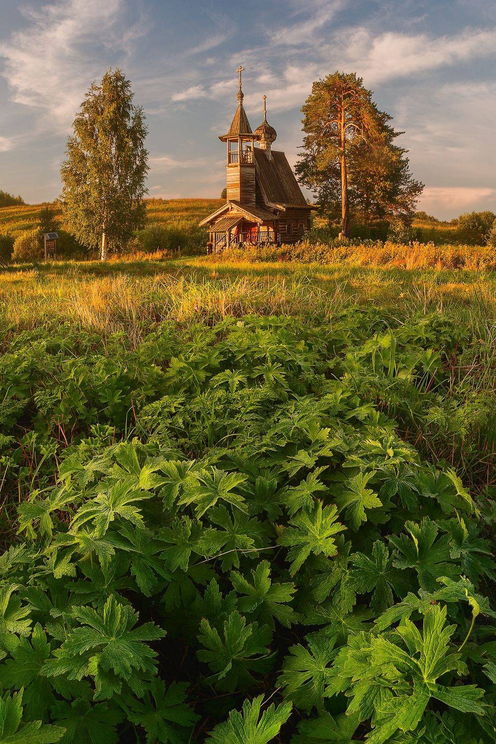 , Константин Маланин