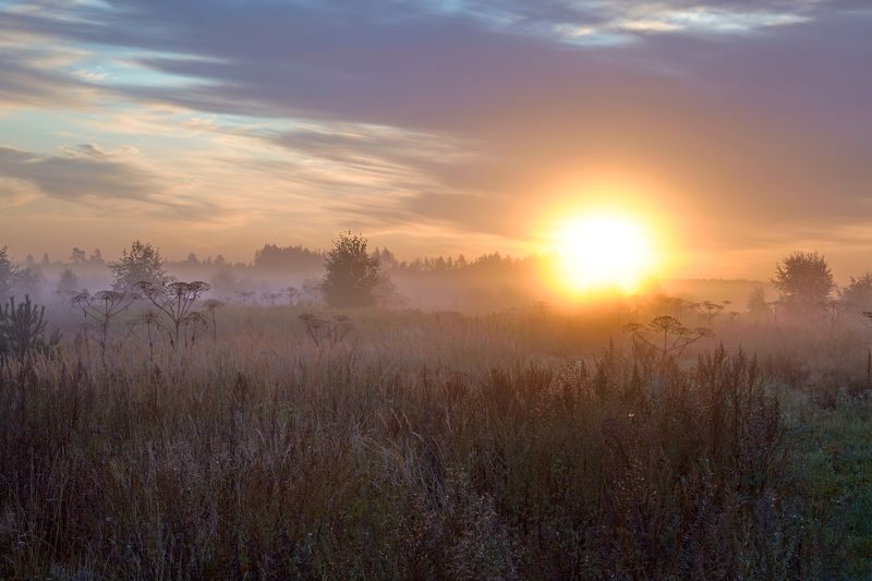 Что-то на осеннем фото превью