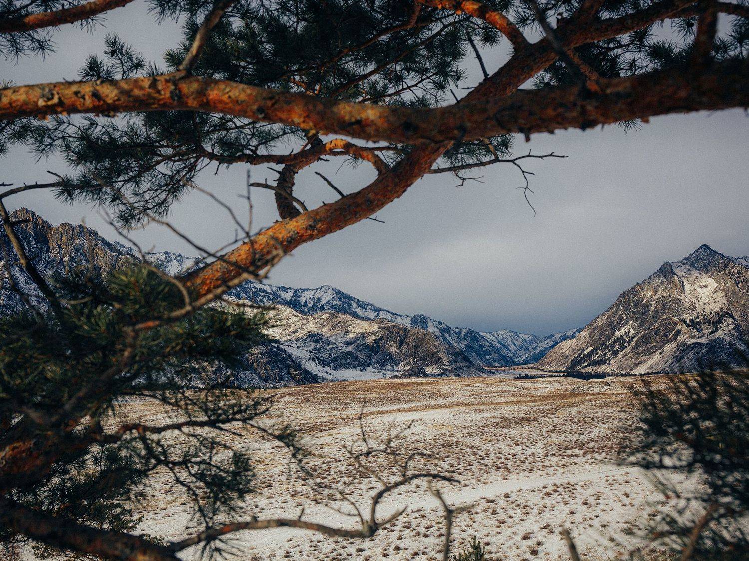 , Виктор Гагарин