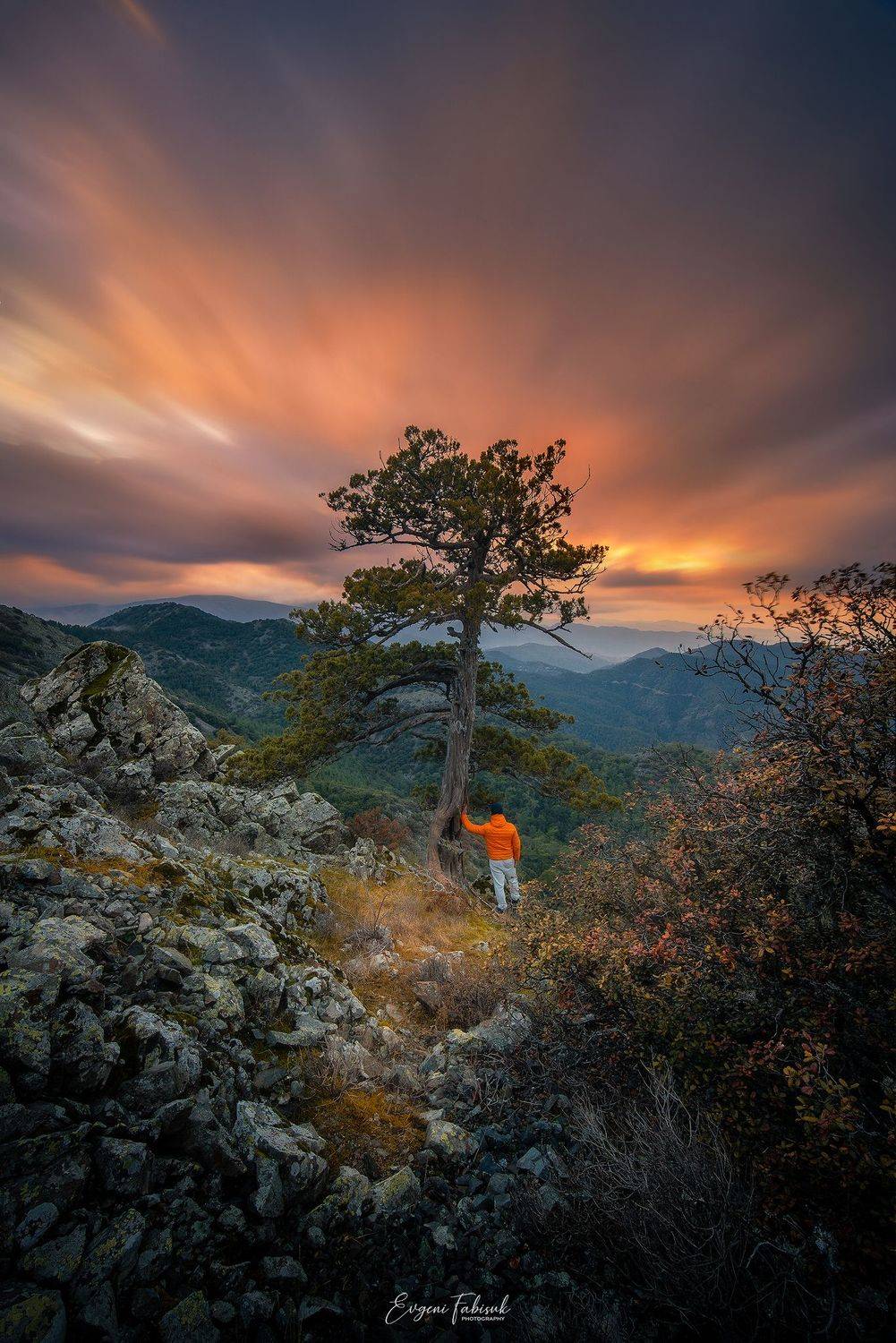 , Evgeni Fabis