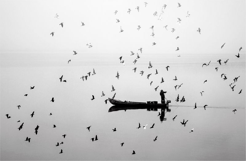 Ловец на птици фото превью