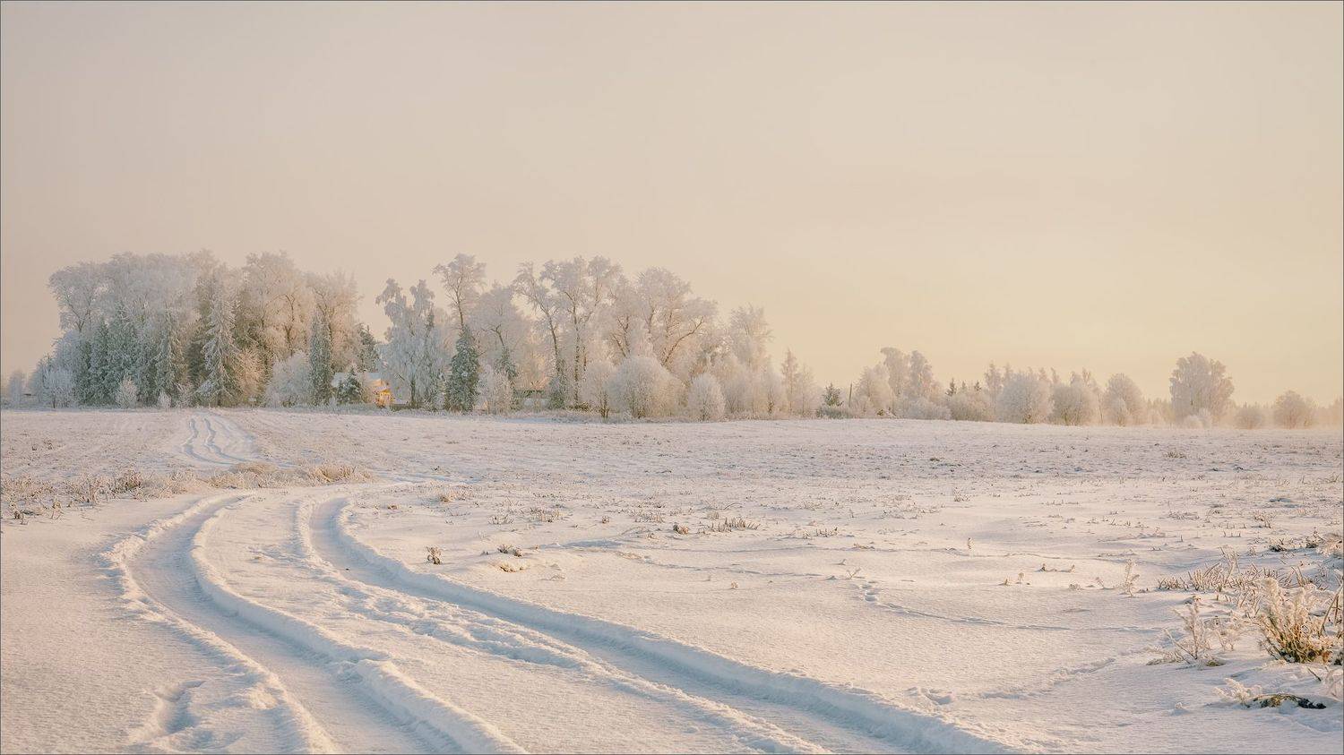 пейзаж, зима, деревня, свет, цвет, александр никитинский, Никитинский Александр