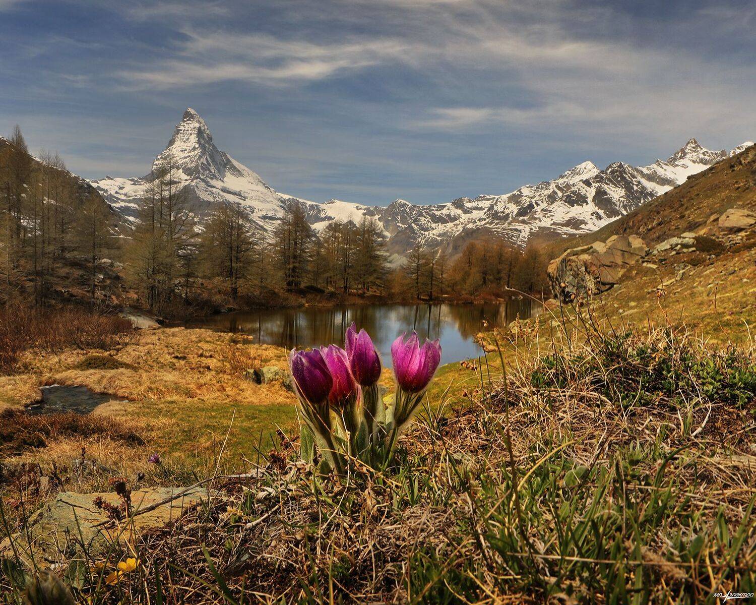 swiss,швейцария,весна,zermatt, Николай Матвеев