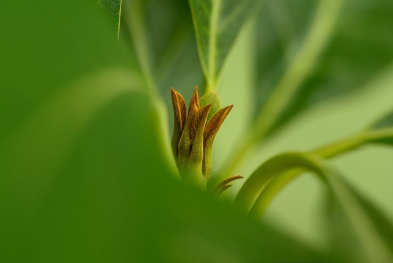 Первый день весны фото превью