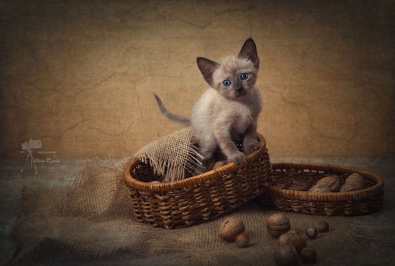 Ириска фото превью