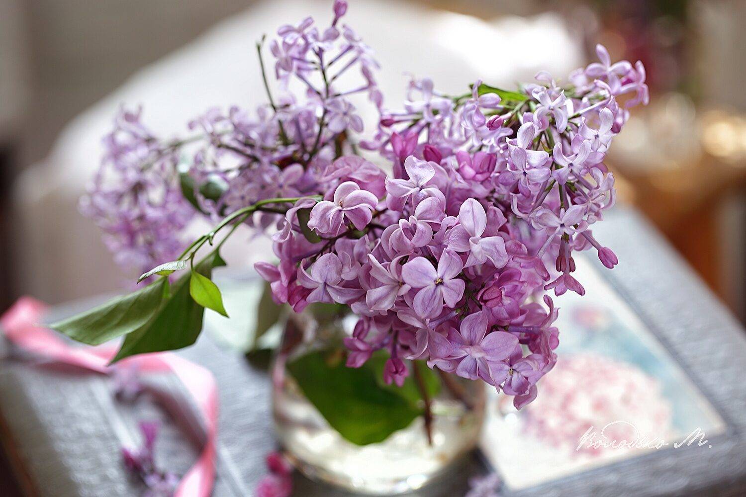 , Марина Володько