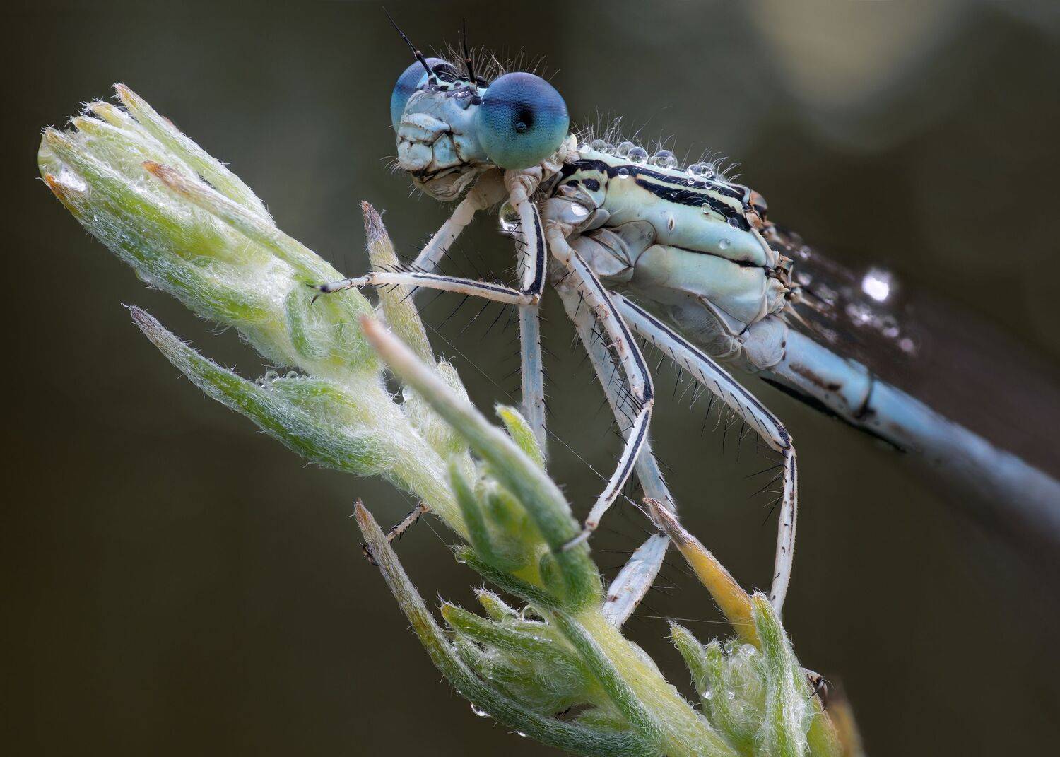 , Кузнецов Дмитрий