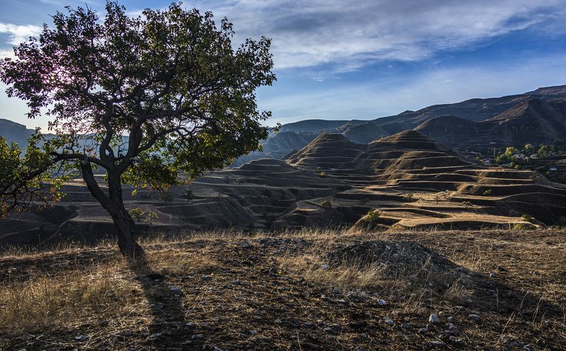 Вид на террасы в Дагестане фото превью