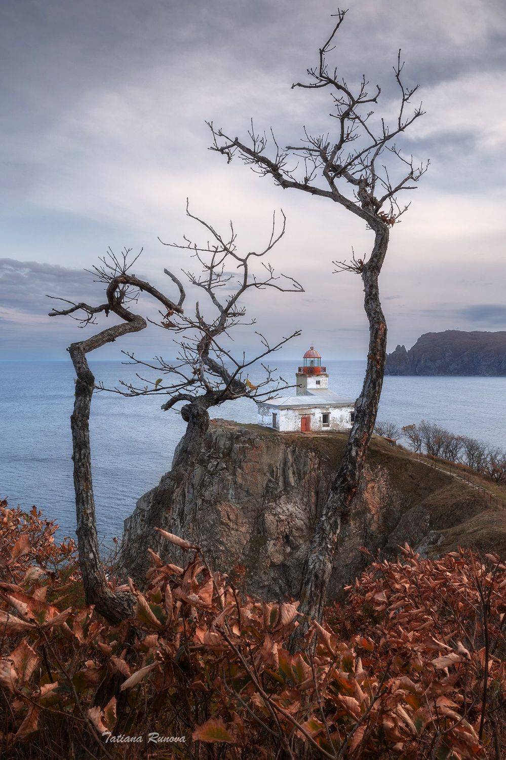 , Рунова Татьяна