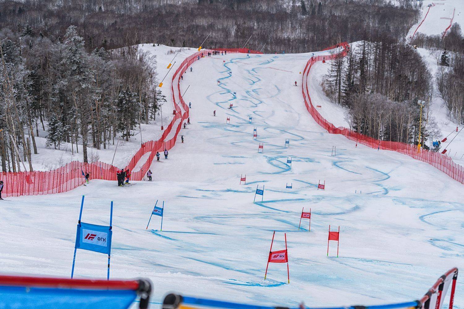 , Лариса Николаевна Дука