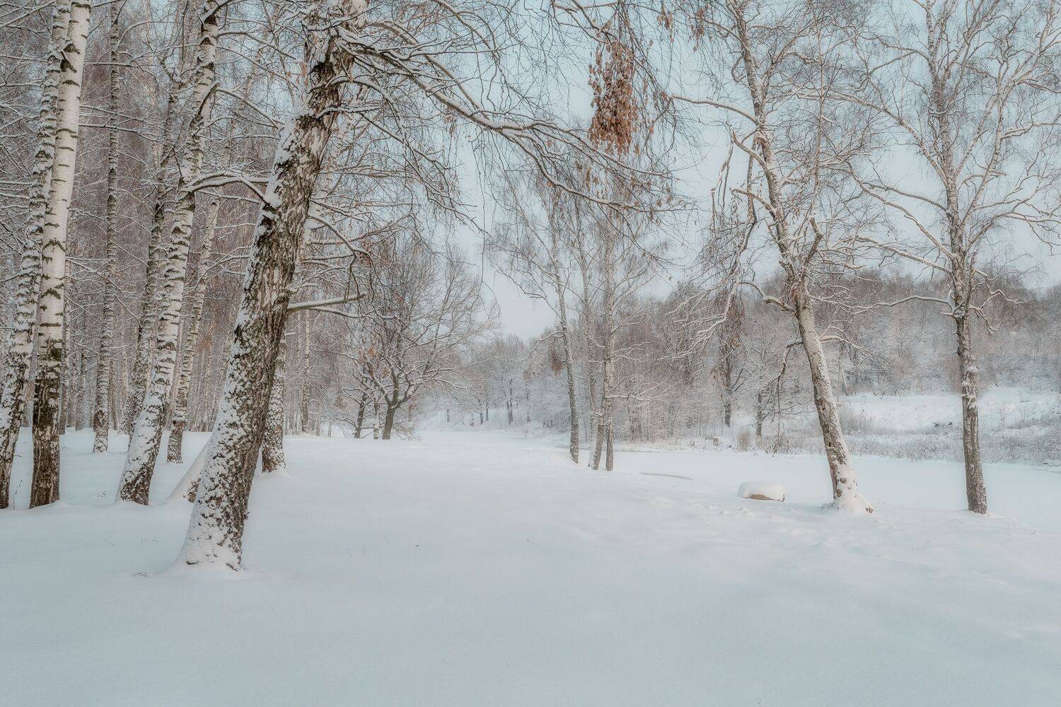 природа, пейзаж, зимний пейзаж, тишина, Мартыненко Дмитрий