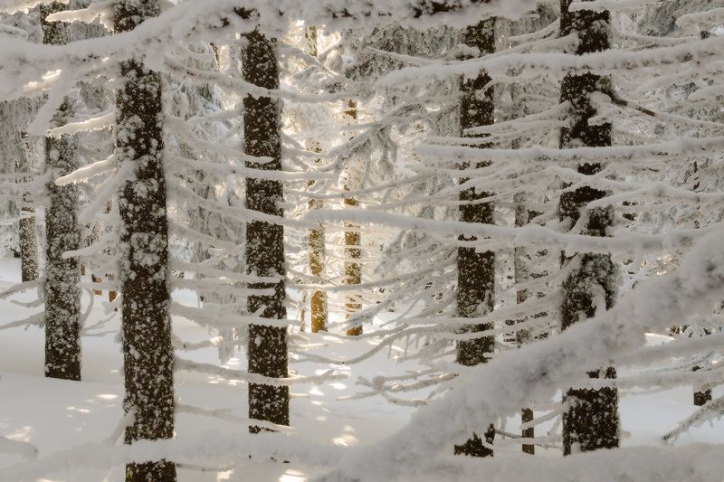 Таганай, Дальний таганай внутри сказки фото превью