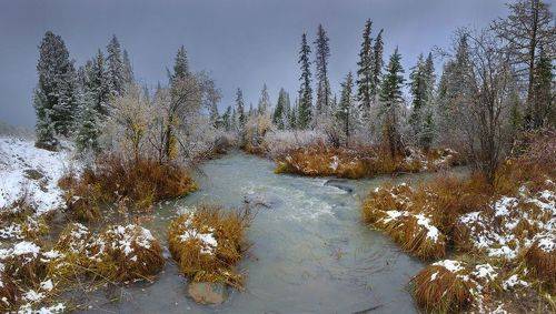 Хмурая осень