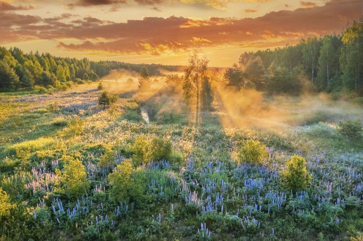 Фототуры с Владимиром Рябковым, #topnature #russpasibo #magic_shots #lovelyRussia #sunset_vision #exclusive_sky  #exclusive_shots #loves_russia2 #photoarena_nature #nature_sultans #nature_perfection #rsa_sky #rsa_sunset #photorussia #rsa_naturepics #sunse, Владимир Рябков