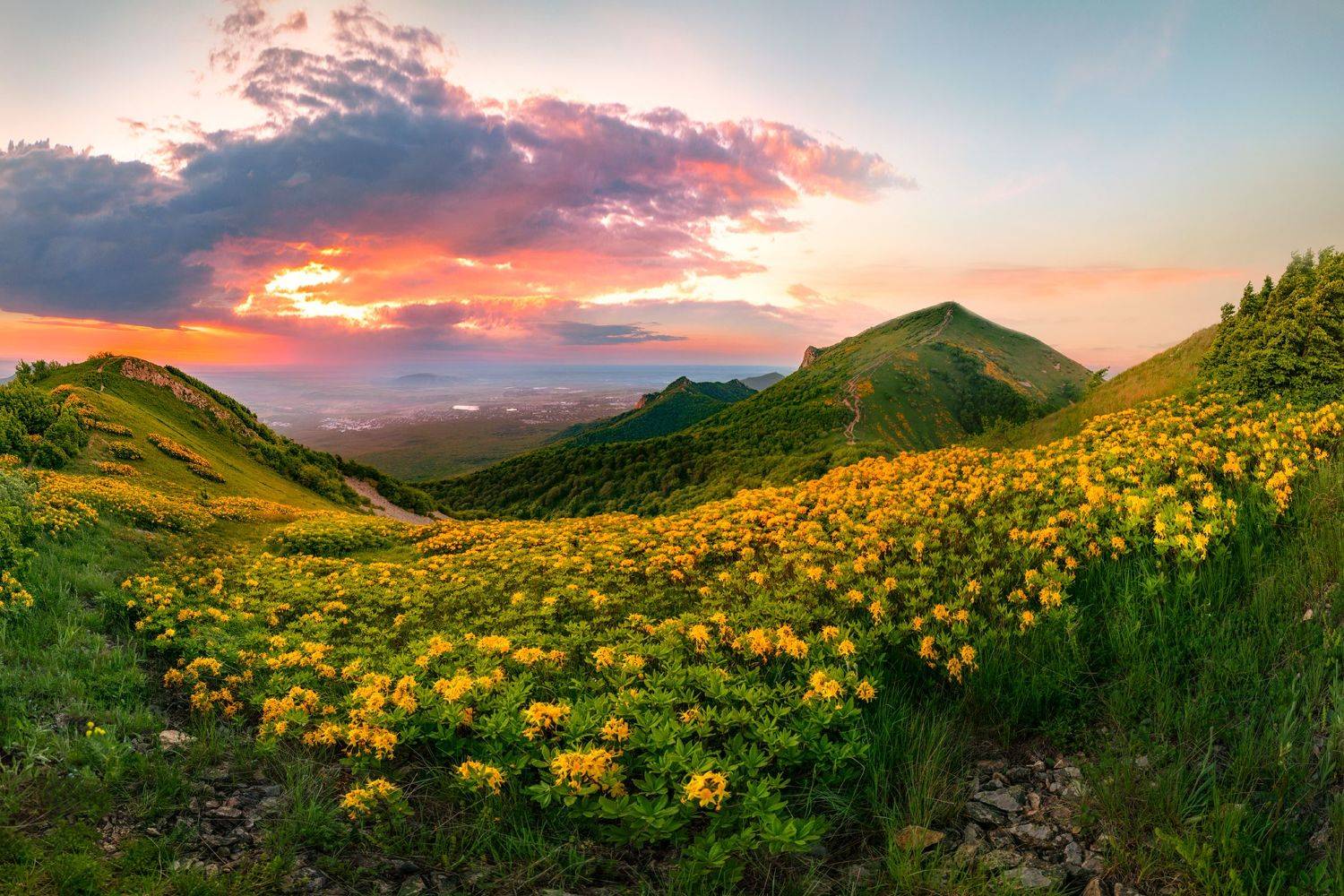 бештау,рассвет,весна,природа,кмв,пейзаж,рододендрон, Елена Брежицкая